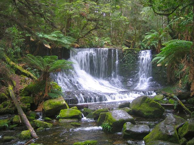 Mount Field National Park